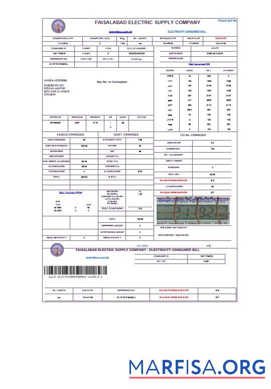 Blank PAKISTAN FAISALABAD business utility bill Word and PDF template